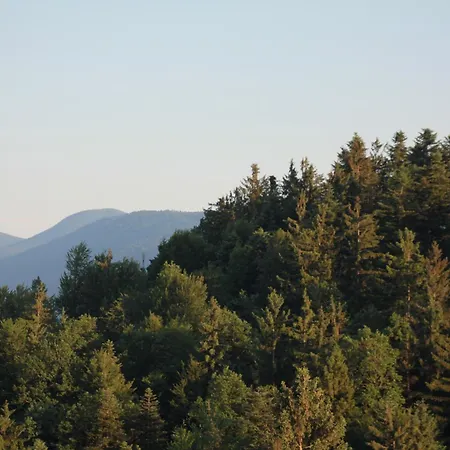 Campo de lujo Hill *